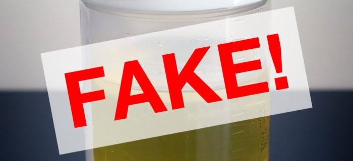 Synthetic Urine Drug 
      Test Kit Slab Fork WV 25920